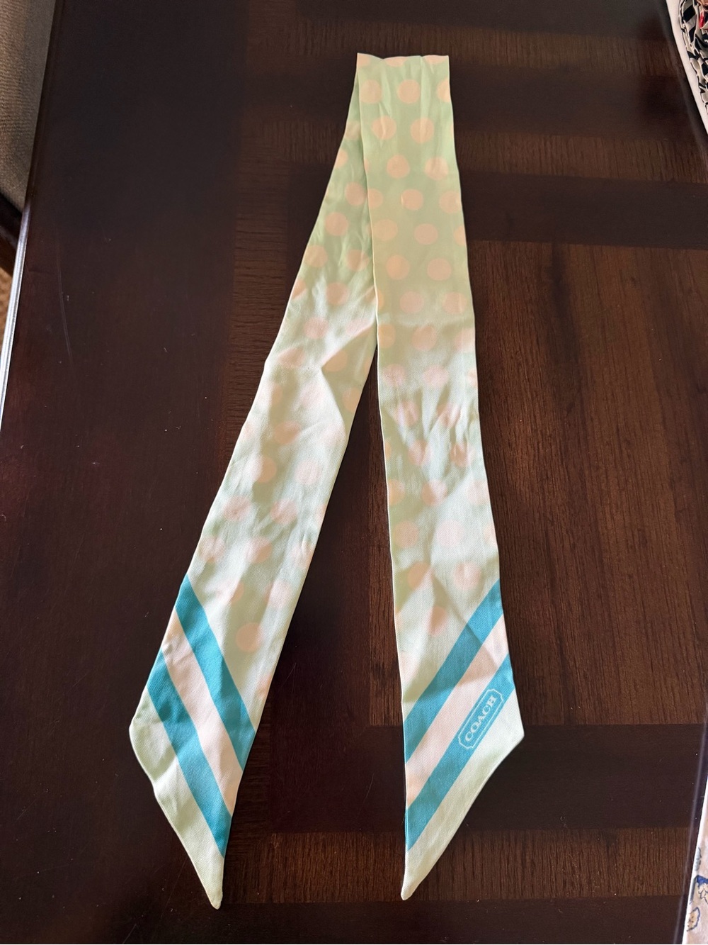 Coach light blue with white polka dot & stripe Patterned twilly scarf